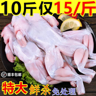 牛蛙超大田鸡超大青蛙鲜活现杀蛤蟆牛蛙腿烧烤火锅商用半成品食材