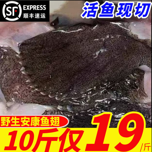 新鲜安康鱼翅膀冷冻鱼翅鱼鳍