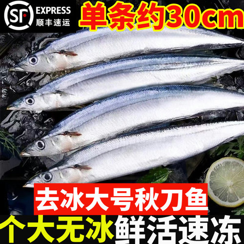 新鲜冷冻秋刀鱼鲜活深海秋刀鱼