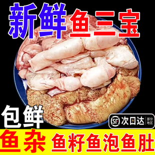 新鲜鱼三宝鱼籽鱼杂鱼泡鱼白活鱼现杀现取鱼肚鱼鳔冷冻鱼蛋鲢鱼子