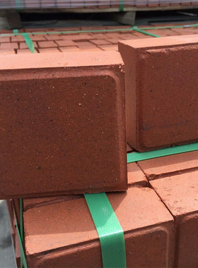 红色小方格铺路砖透水砖烧结砖景观砖100×100×50mm