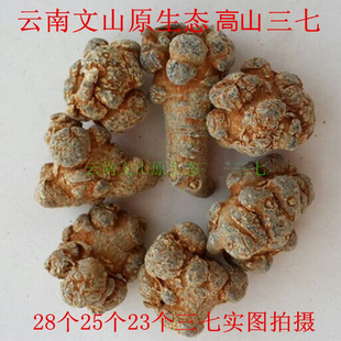 文山三七20头赵老爹春田七正品高山种足干可打破壁云南超细粉切片
