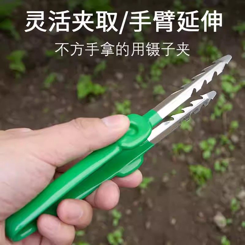 园艺工具镊子不锈钢拔草拔苗拾物夹子种花家用种菜取物夹种子农用,鲜花速递/花卉仿真/绿植园艺,铲子,淘宝优惠券,粉丝福利购,淘宝优惠卷