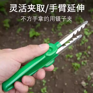 园艺工具镊子不锈钢拔草拔苗拾物夹子种花家用种菜取物夹种子农用