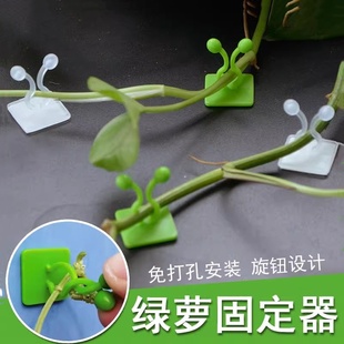 绿萝爬墙上花神器绿植固定器绿箩家用无痕卡扣绿枝爬藤杆夹子挂钩