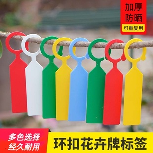 园艺标签插牌吊牌防水环扣植物挂牌标识卡塑料加厚多肉小标签工具
