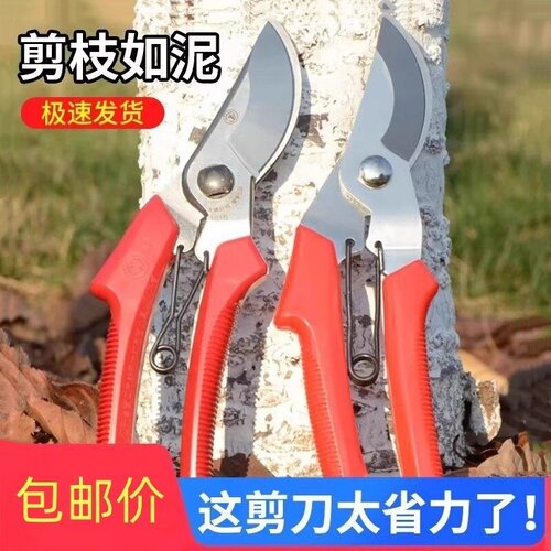 园林不锈钢省力修枝剪树枝修花剪刀粗枝剪园艺工具果树剪子花枝剪