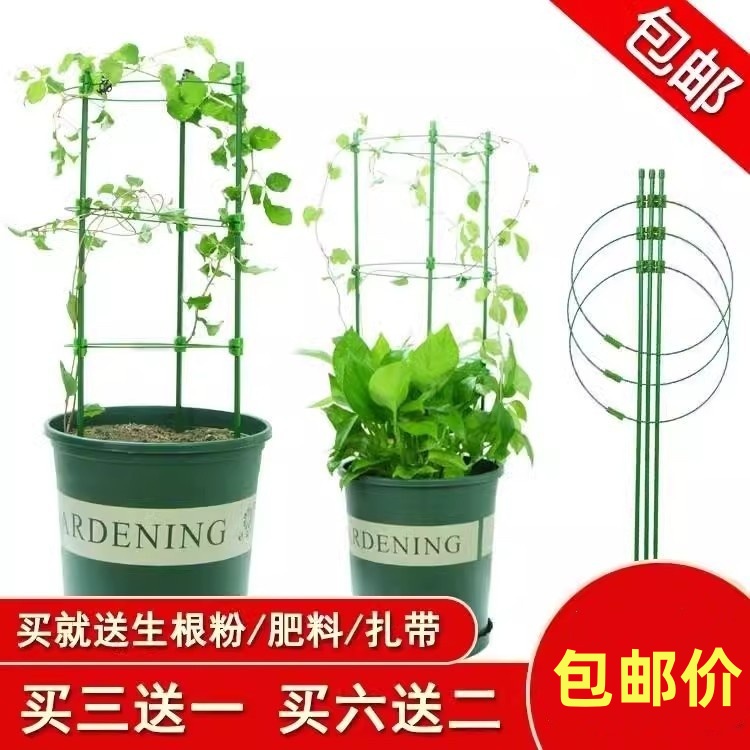 花架爬藤支架花盆园艺支柱月季铁线莲球兰绿萝植物防倒攀爬支撑杆