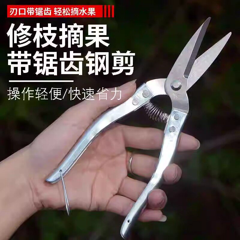 罗定园艺剪刀修枝剪果园摘果剪树枝果树剪子家用树剪刀园林修花