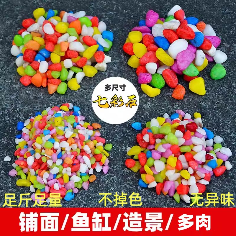 天然五彩彩石七彩石盆栽彩色多肉铺面石花盆鱼缸造景小石子鹅卵石