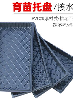 平盘育苗盘托盘穴盘无孔托盘有孔托盘芽菜苗盘育苗盘配套通用托盘
