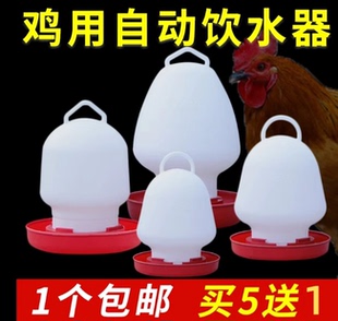 鸡水桶水槽饮水壶小鸡饮水器 养鸡用品 自动饮水壶 养鸡设备专用
