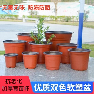 双色花盆种植育苗盆营养钵塑料一次性加厚园艺绿植盆多肉盆培育