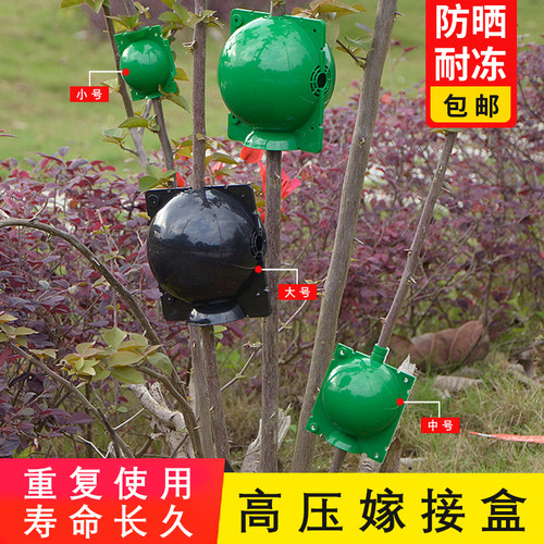 植物高压嫁接盒繁殖盒控根盒移植