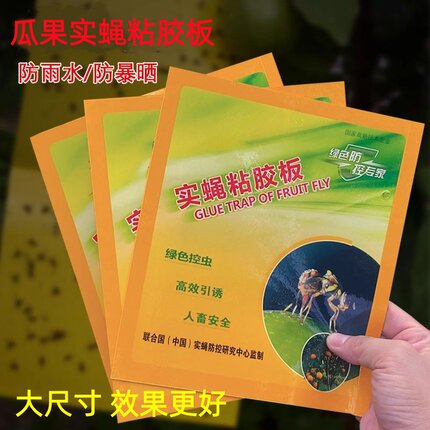实蝇粘胶板果蝇诱粘板针蜂果园粘虫板防虫贴瓜果粘蝇纸柑橘灭