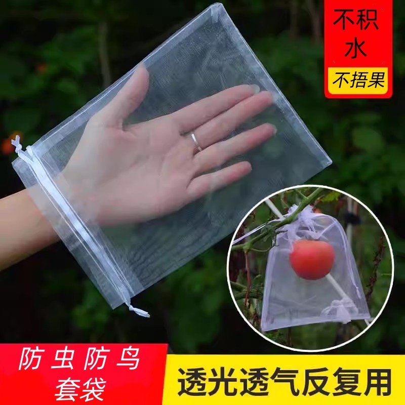 水果套袋防鸟防虫专用袋西红柿
