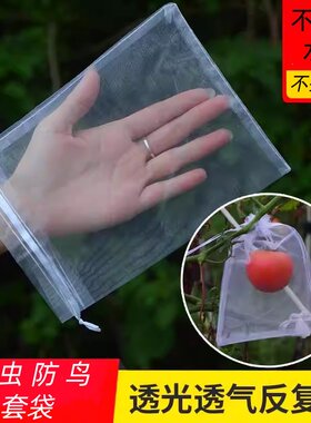 水果套袋防鸟防虫专用袋西红柿