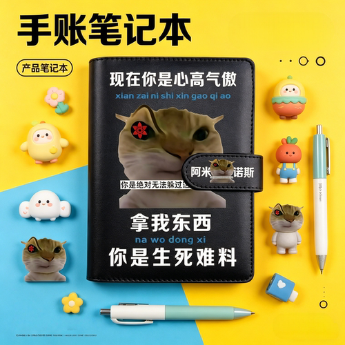 歪嘴小猫手账笔记本学生日记礼物