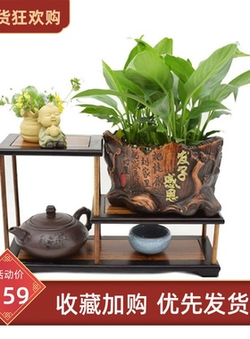 金匠大作红木小型博古架摆件小多肉肉迷你实木质花几花盆景花架子