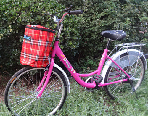 siège enfants pour vélo - Ref 2429530 Image 5