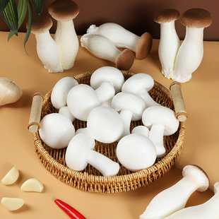 仿真双孢菇模型杏鲍菇蘑菇菌菇类假果蔬拍摄道具幼儿园认知教具