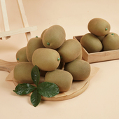 仿真猕猴桃模型奇异果素描水果静物写生道具摄影摆件水果店装 饰