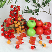仿真西红柿模型小番茄块红黄圣女果串泡沫塑料假蔬菜拍摄道具教具