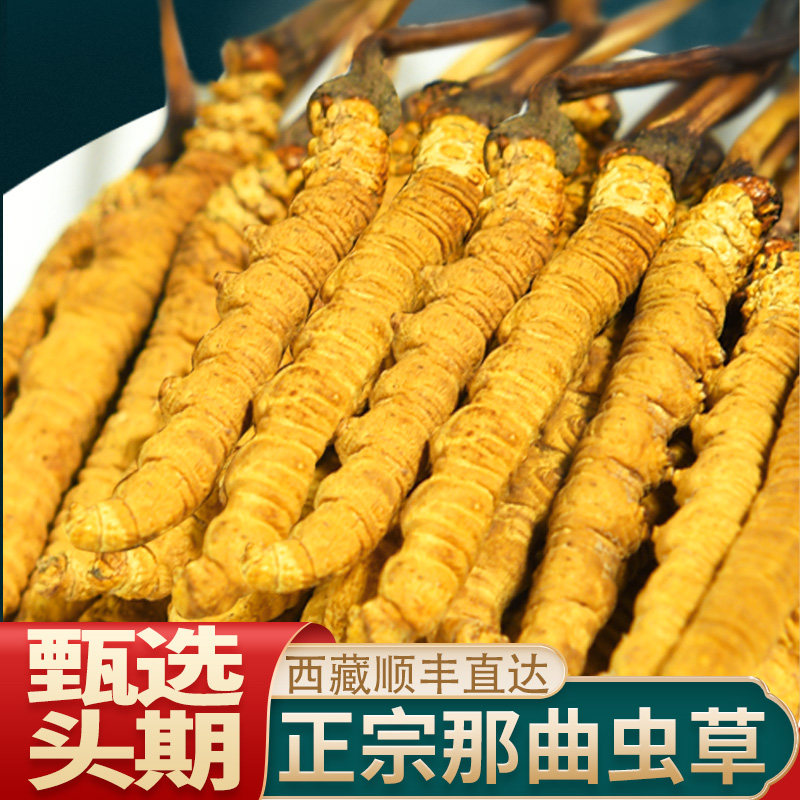 藏族自营1030西藏那曲根