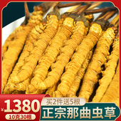 10克30根西藏那曲冬虫夏草正品 藏族自营 虫草干货旗舰店礼盒