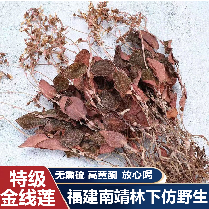 正宗金线莲官方旗舰整株开花干品500克1斤福建南靖林下仿野生种植