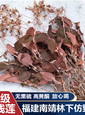 正宗金线莲官方旗舰整株开花干品500克1斤福建南靖林下仿野生种植