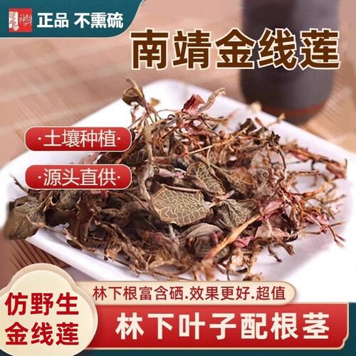 林下种植金线莲100g干品福建南靖