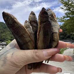 开化清水鱼干农家自制野生无盐无污染下酒鱼商用小河鲜水产干货
