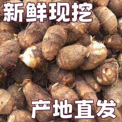 开化农家现挖芋头子生态