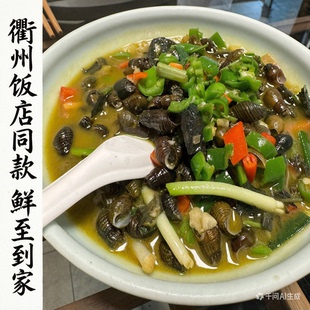 开化青蛳下酒河鲜肉嫩野生山坑螺活螺原地直发鲜活紫苏螺蛳钉无沙