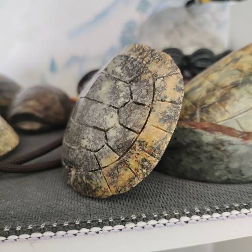 河磨龟壳富甲手把件 坑纹 漏掉 实物拍摄默认瑕疵不退换 55 55 26