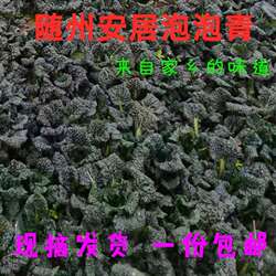 随州特产正宗安居泡泡青原产地新鲜青菜打霜蔬菜现摘发货24省包邮