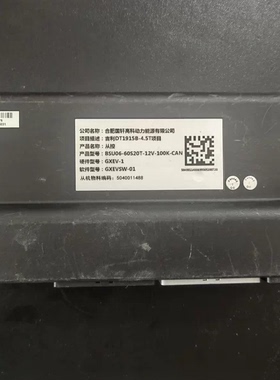 拆机合肥国轩高科动力电池管理系统从控模块 项目描述：吉利DT191