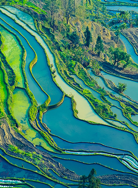 乡村田园风光梯田水稻茶园海报制作自然风景装饰贴画挂画j5027