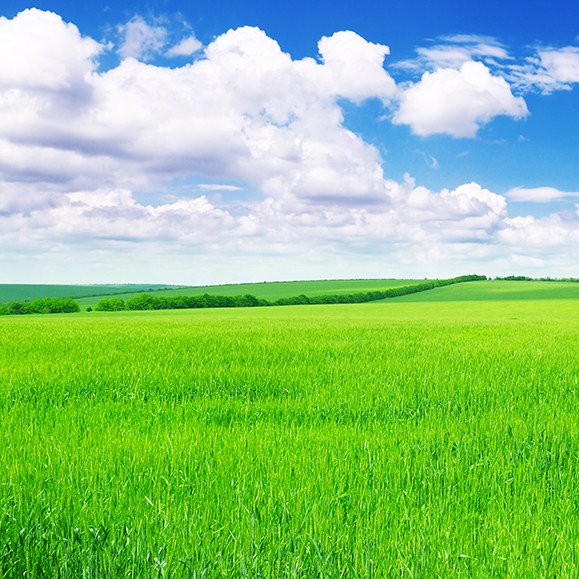 大自然蒙古大草原风景画自然风景海报制作客厅背景墙装饰贴画5227