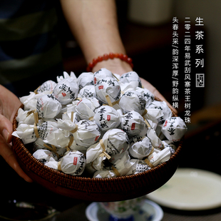 收藏系列 2024年易武刮风寨茶王树古树龙珠普洱茶叶伴手小罐送礼