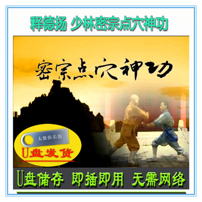 少林密宗点穴神功 释德扬 U盘视频 技法手法教学分解讲解传统功夫