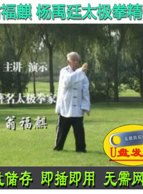 翁福麒 杨禹廷太极拳精要 U盘视频 传统套路习练