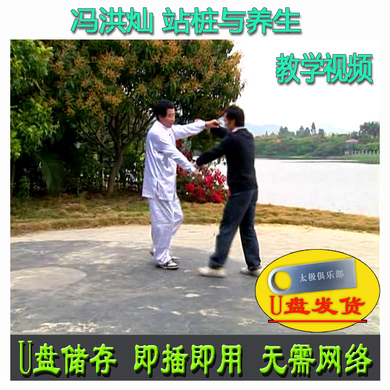 冯洪灿大成拳:站桩与养生U盘视频 推手技击意拳系列讲解教学