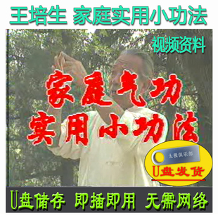 王培生 家庭气功实用小功法U盘视频老资料 健身养生讲解示范