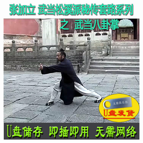 张加立 武当八卦掌 U盘视频 松溪派秘传武术套路教程分解讲解教学