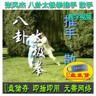 张风杰 八卦太极拳推手 散手U盘视频 分解讲解教学