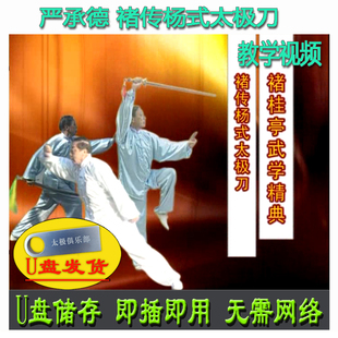 严承德 褚传杨式太极刀54式 U盘视频 褚桂亭武学经典武术教学讲解