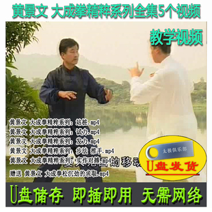 黄景文 大成拳精粹系列全集 U盘视频 站桩试力发力步法推手松沉劲
