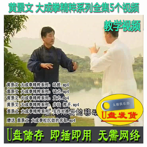 黄景文 大成拳精粹系列全集 U盘视频 站桩试力发力步法推手松沉劲